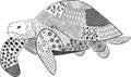 Zentangle black and white turtle with patterns